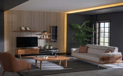 dream tv unit 2