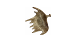 Decorative Platter Gold 2